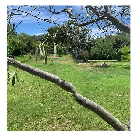 Immersa Nel Vakantiehuis