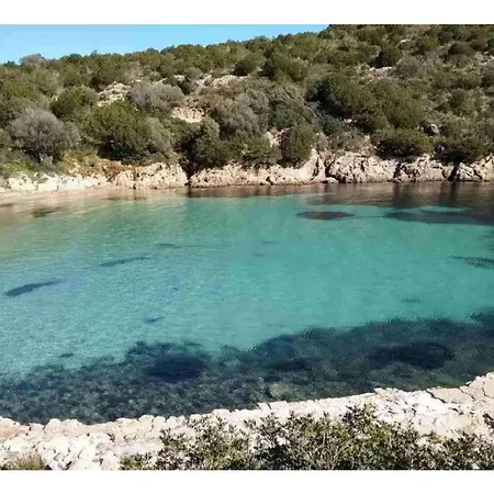 Immersa Nel